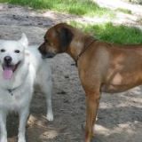 2014_bianco und hector